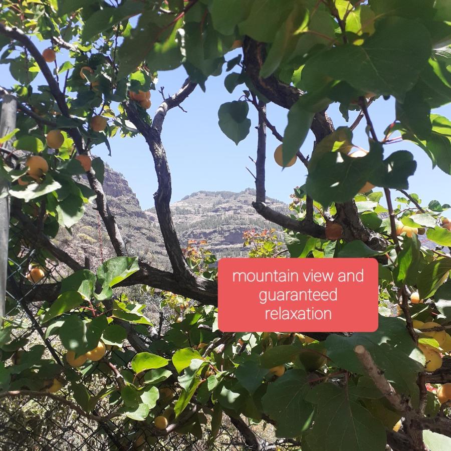 La Finca Del Don Ganapati Hotel San Bartolomé Kültér fotó