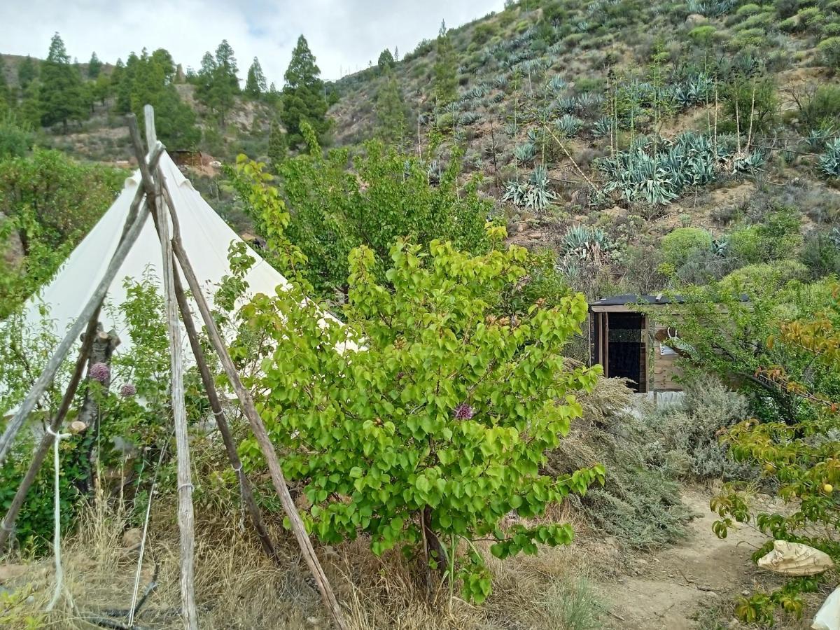 La Finca Del Don Ganapati Hotel San Bartolomé Kültér fotó